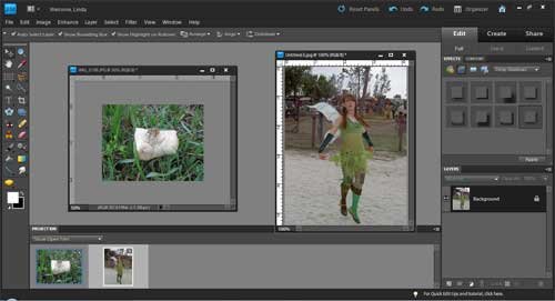 Photoshop Elements: Layer Masks