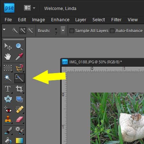 Photoshop Elements: Layer Masks
