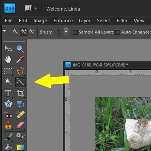 Photoshop Elements: Layer Masks