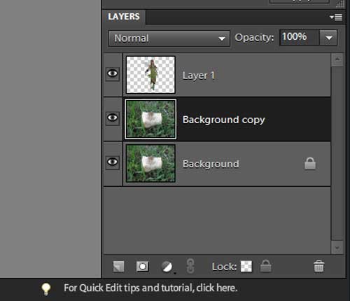 Photoshop Elements: Layer Masks