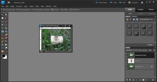 Photoshop Elements: Layer Masks