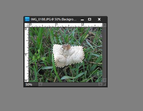 Photoshop Elements: Layer Masks