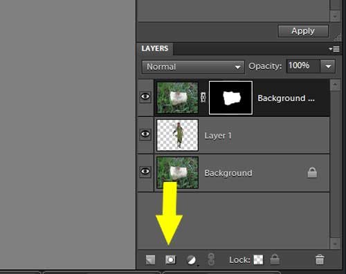 Photoshop Elements: Layer Masks