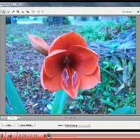 Photoshop Elements: Using Camera Raw Editor