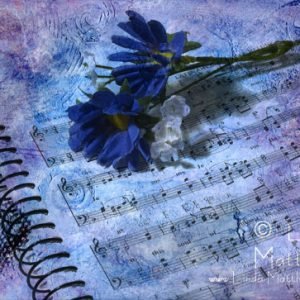 Fun with mixed media and photoshop