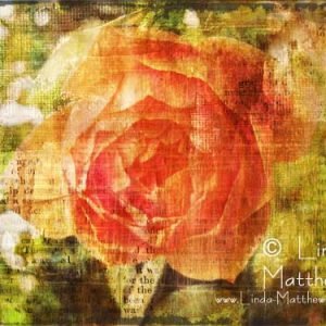Life Unfolding