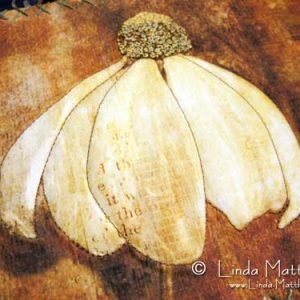 Canvas Art – Coneflower