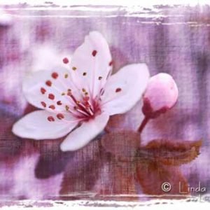 How to make photoshop textures – quick and easy
