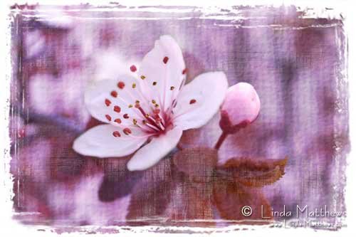 How to make Photoshop Textures - Quick and Easy