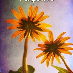 Not Quite Wordless Wednesday: Perspective