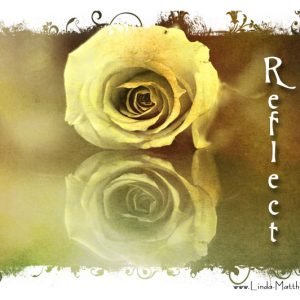 Not Quite Wordless Wednesday: Reflect