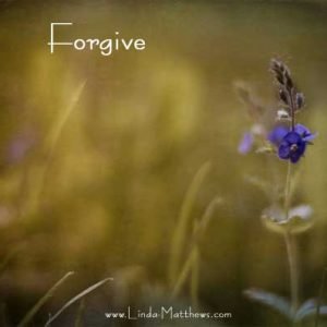 Not Quite Wordless Wednesday: Forgive
