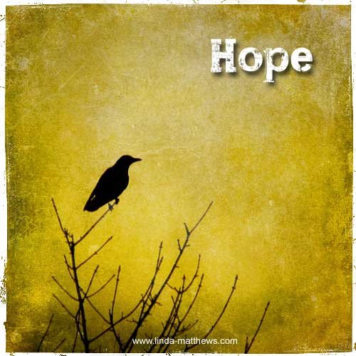 Not Quite Wordless Wednesday: Hope