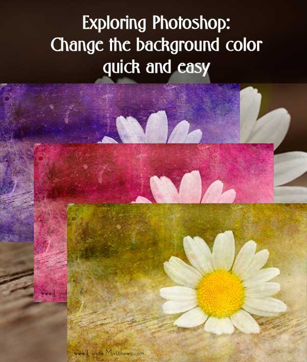 Exploring Photoshop: How to change a background color - quick and easy -  Linda Matthews