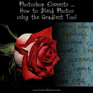 Photoshop Elements: How to Blend Photos using the Gradient Tool