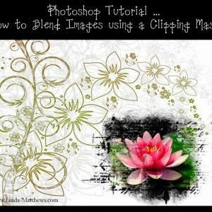 Photoshop Elements: Blending Multiple Images using Clipping Masks