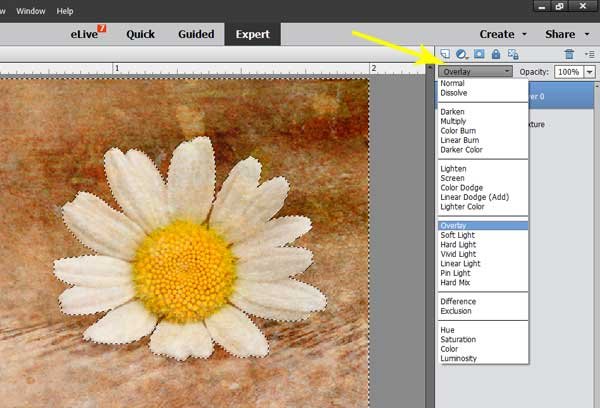 Exploring Photoshop: How to change a background color - quick and easy