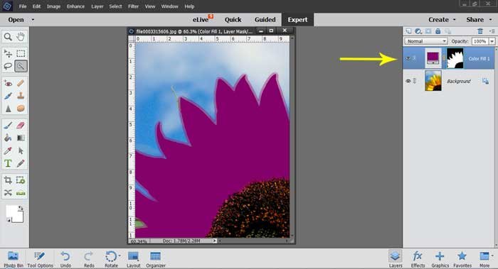 Photoshop Elements Tutorial: Changing Colors