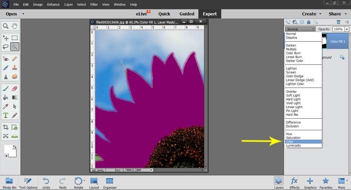 Photoshop Elements Tutorial: Changing Colors