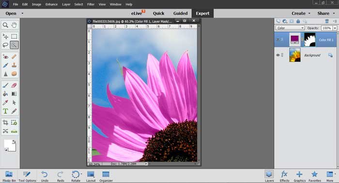 Photoshop Elements Tutorial: Changing Colors