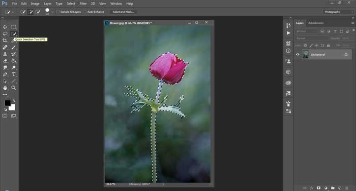 Easy Selective Coloring Effect using Photoshop