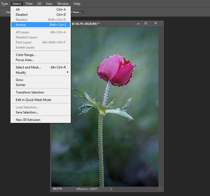 Easy Selective Coloring Effect using Photoshop