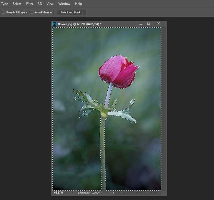 Easy Selective Coloring Effect using Photoshop