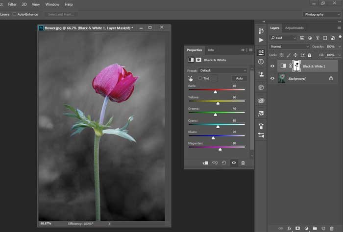Easy Selective Coloring Effect Using Photoshop Linda Matthews