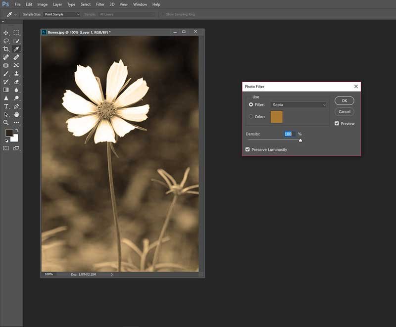 How to Colorize a Photo in Photoshop & Photoshop Elements