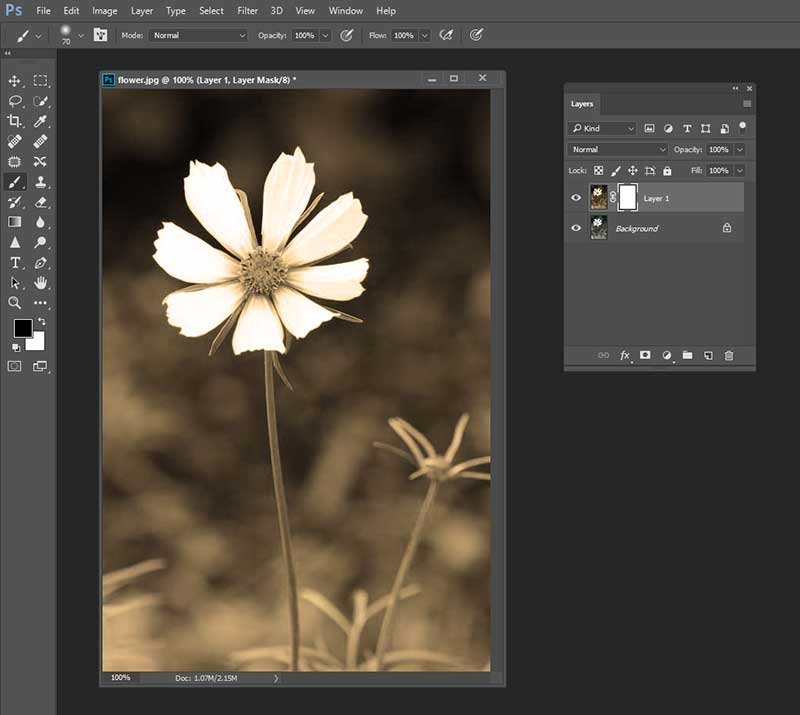 How to Colorize a Photo in Photoshop & Photoshop Elements