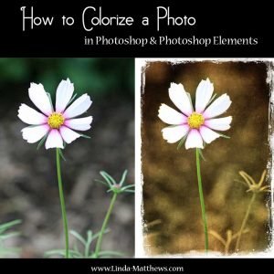 How to Colorize a Photo in Photoshop & Photoshop Elements