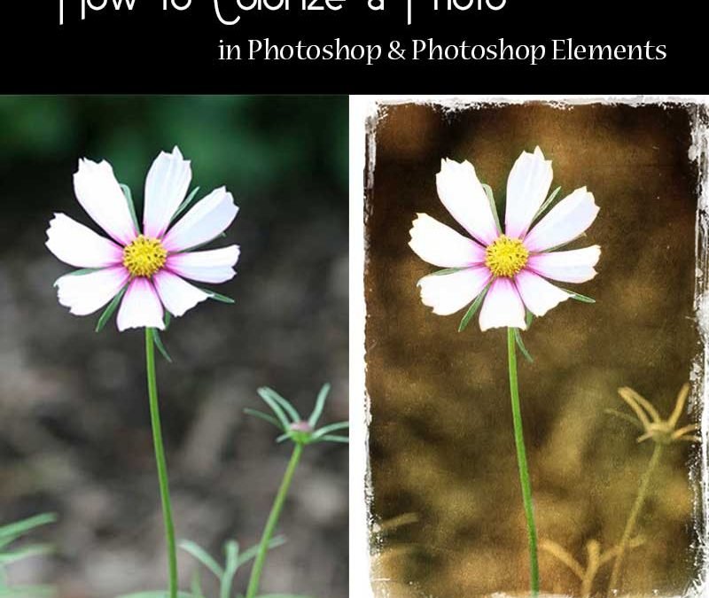 How to Colorize a Photo in Photoshop & Photoshop Elements