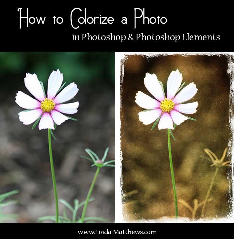 How to Colorize a Photo in Photoshop & Photoshop Elements