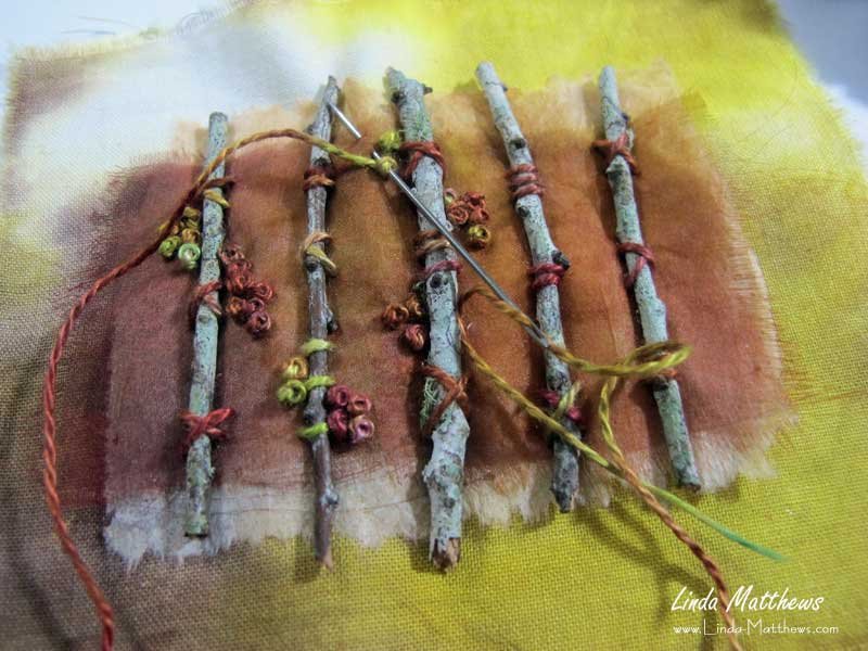 Fragments of Nature – seeing with new eyes