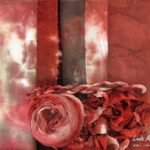 Some Final Fabric Collections using Assemblage Hand-Dyeing Assemblage Hand-Dyeing: Nature Dyeing