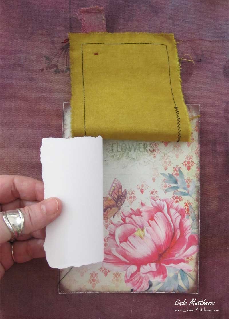 Nature Journal Page: Blossom