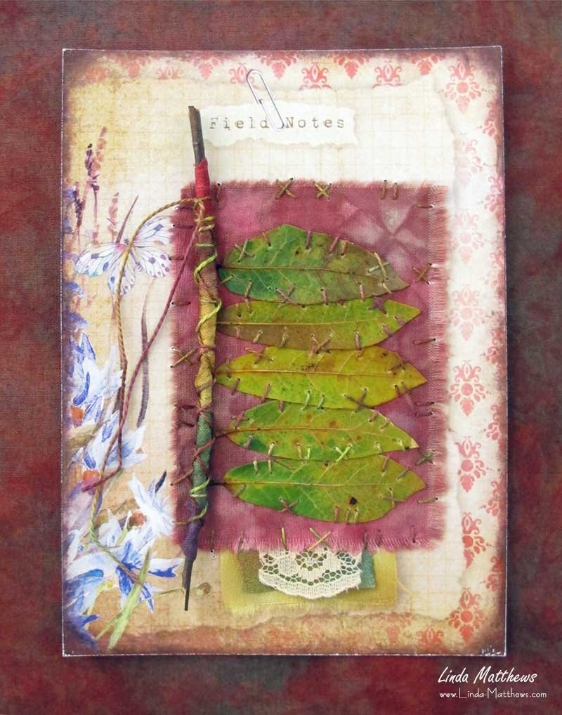 Nature Journal Page: Convergence